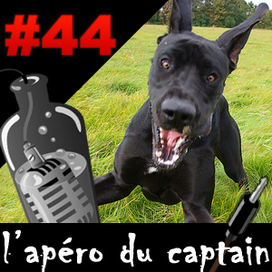 ADC #44 : TVA à 19,6 pour le grand danois de l'Hadopi