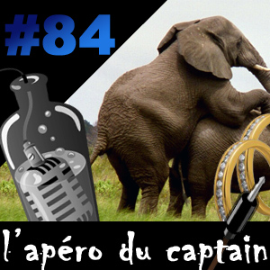 ADC #84 : Divorce numérique pour le community manager de Nelly l'éléphant